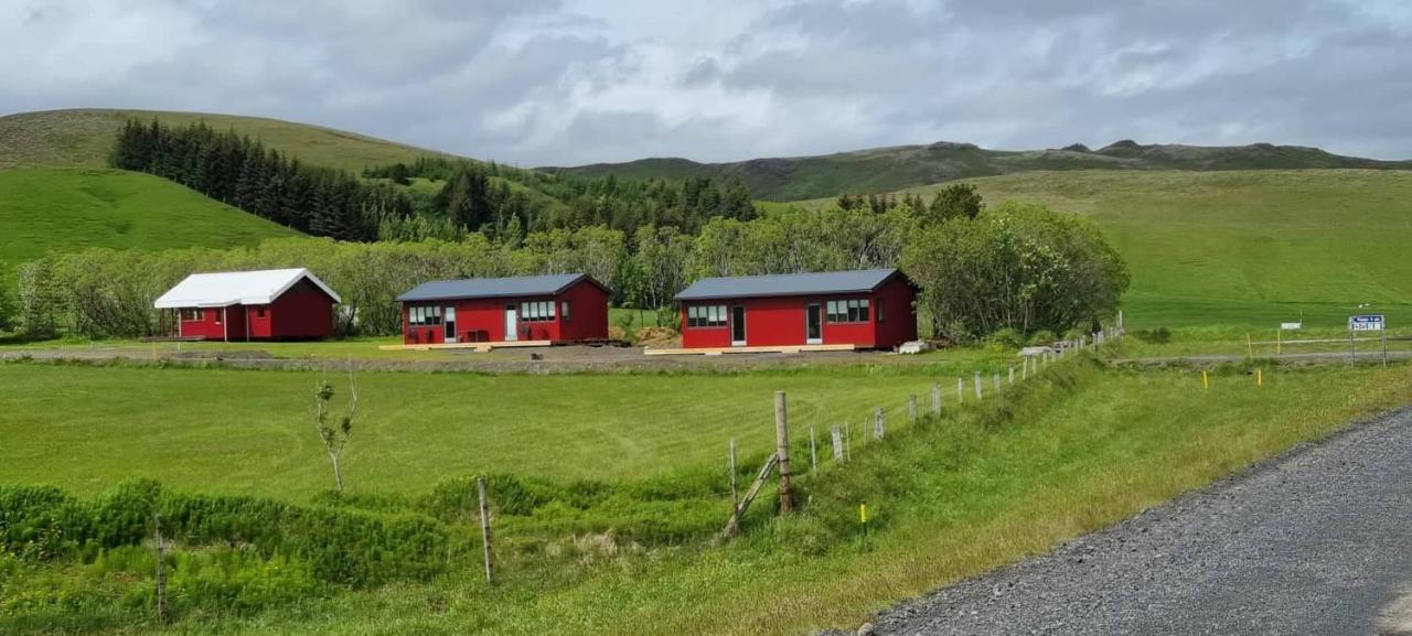 New And Well Furnished Studio Apartment For Two 30 Km From Kirkjubaejarklaustur Perfect Place To Stay At Right Between Black Beach And Joekulsarlon Exterior foto